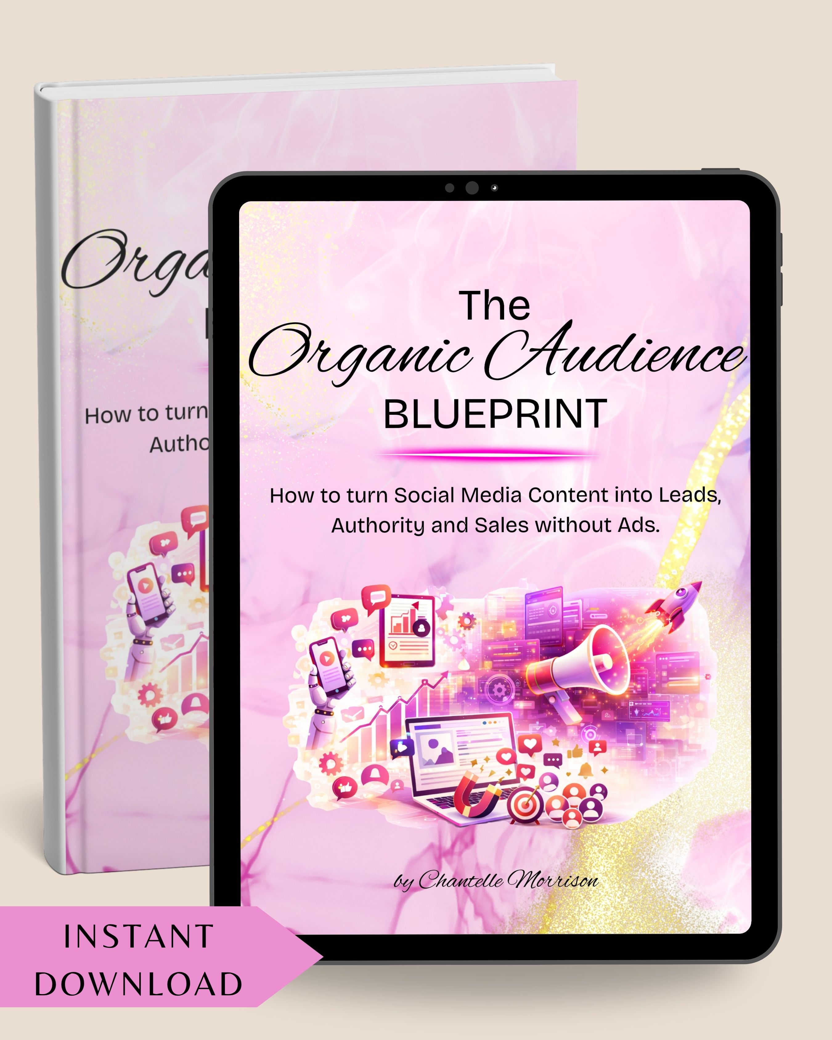 Organic Audience Blueprint Guide Image